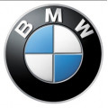 Пороги BMW