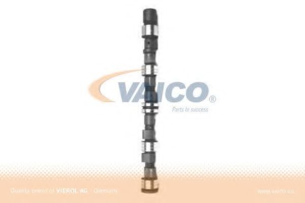 VAICO V40-0081