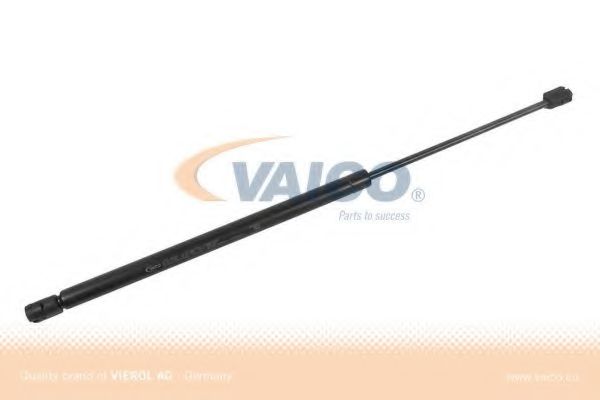 VAICO V53-0010