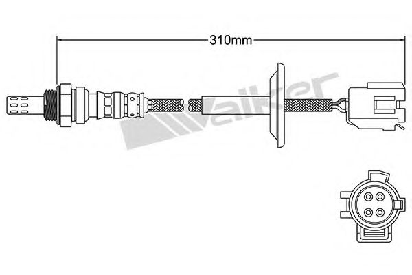 WALKER PRODUCTS 250-24081