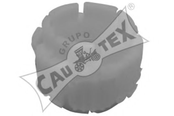 CAUTEX 030311