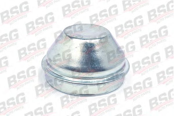 BSG BSG 30-971-003