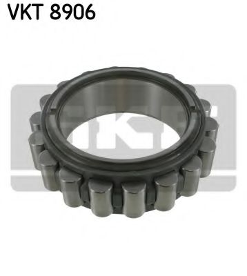 SKF VKT 8906