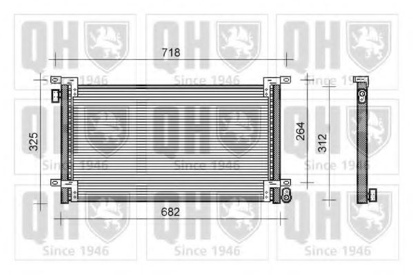 QUINTON HAZELL QCN282