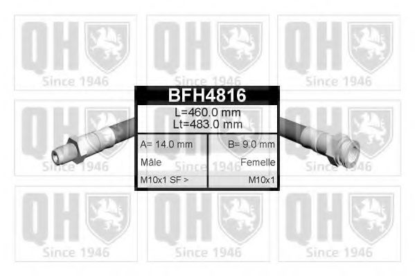 QUINTON HAZELL BFH4816