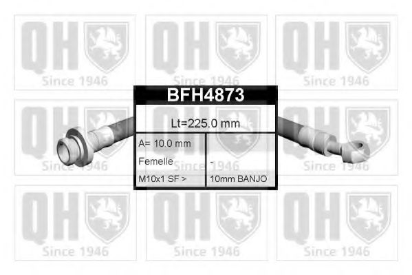 QUINTON HAZELL BFH4873