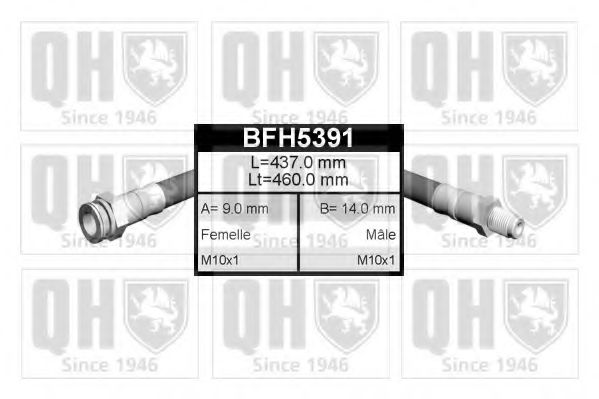 QUINTON HAZELL BFH5391